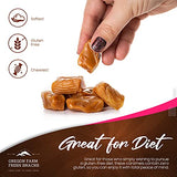 Oregon Farm Fresh Snacks Salted Caramel Gourmet Candy – Oregon Made Caramel Candy with Sea Salt and Vanilla – Gluten Free Delicious Chewy Sea Salt Caramels – Soft Caramels Individually Wrapped (16 oz)